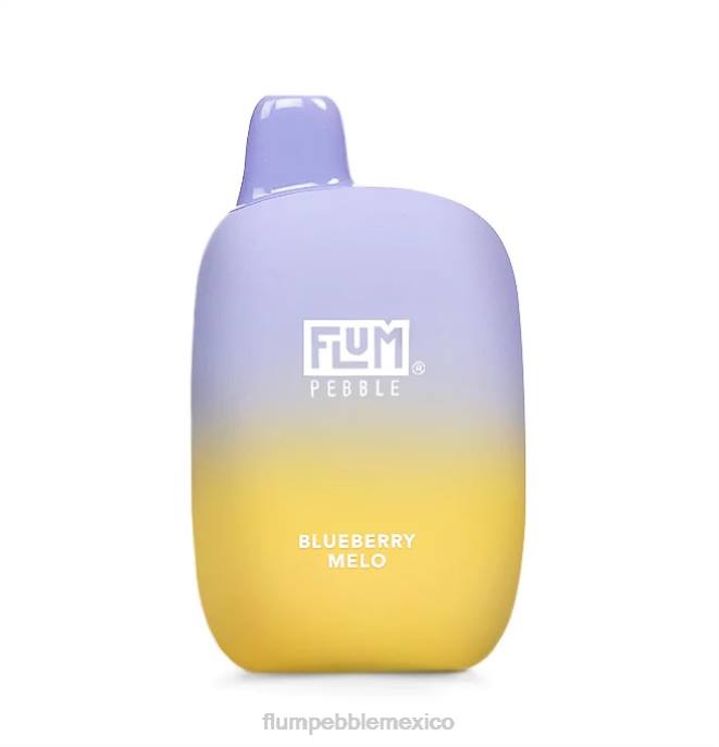 melocotonero de arándanos - FLUM PEBBLE flavors - 246J16 FLUM PEBBLES 6000 bocanadas