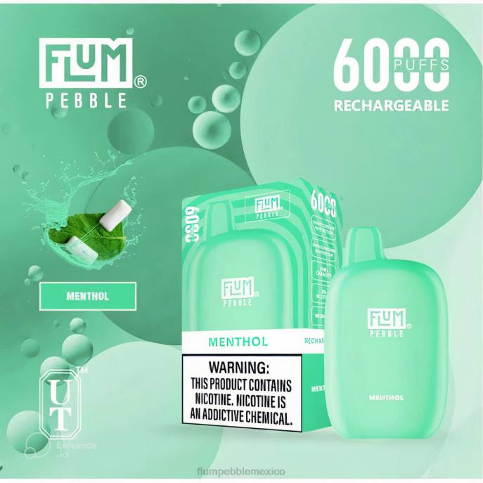 mentol - FLUM PEBBLE vape near me - 246J57 FLUM PEBBLES 6000 bocanadas